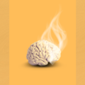 Unlocking the Power of Your Senses for Mental Clarity and Focus